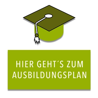 Ausbildungsplan systemischen Berater Heidelberg